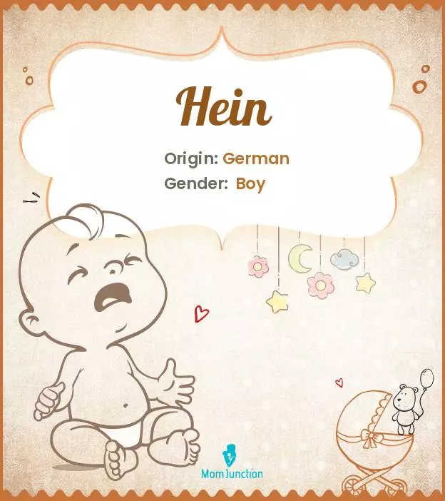 Explore Hein: Meaning, Origin & Popularity | MomJunction