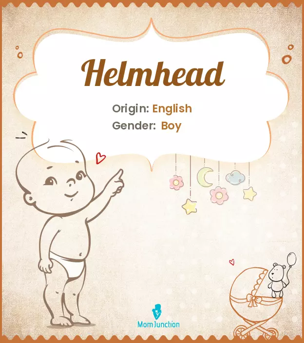 helmhead_image