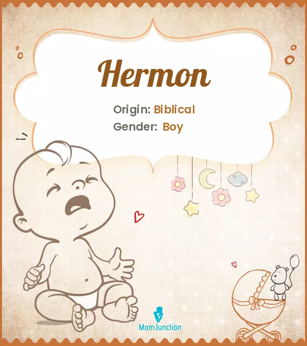 Explore Hermon: Meaning, Origin & Popularity_image