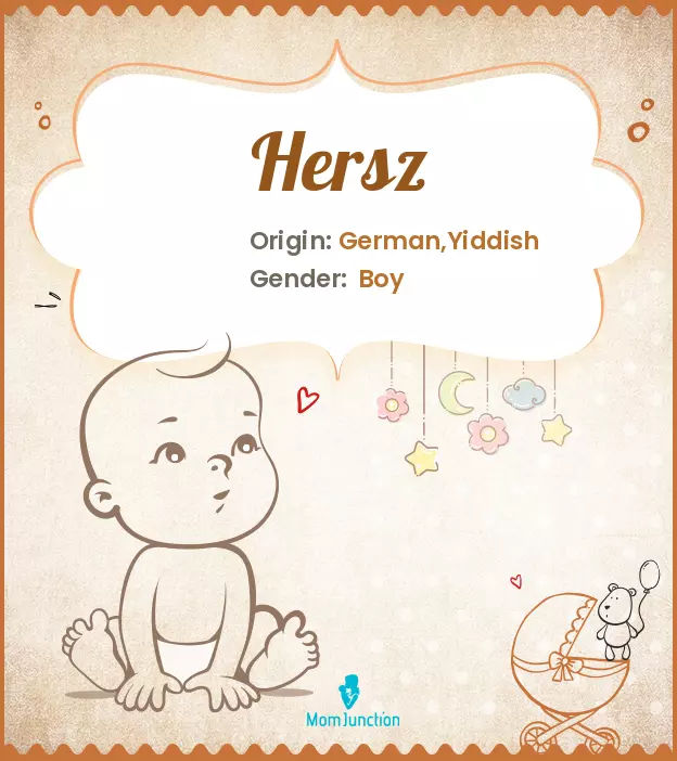 Explore Hersz: Meaning, Origin & Popularity_image