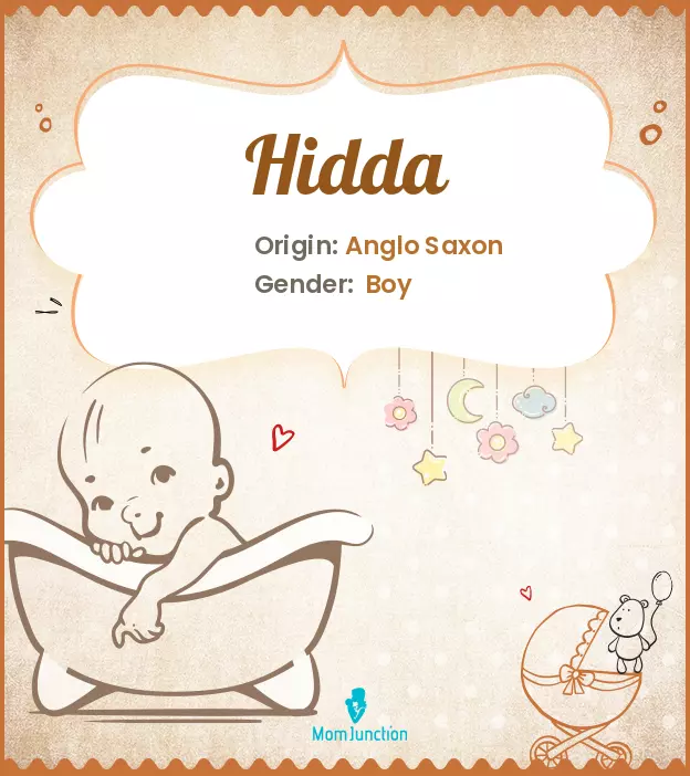 hidda_image