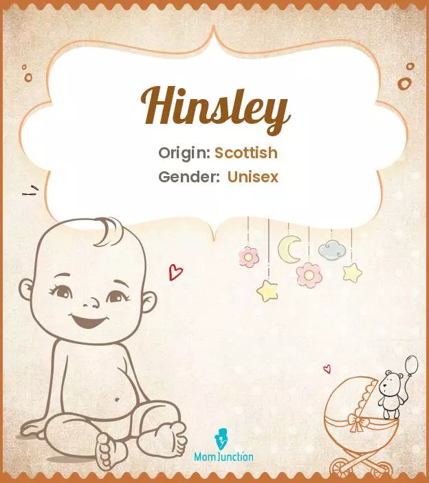 Explore Hinsley: Meaning, Origin & Popularity | MomJunction