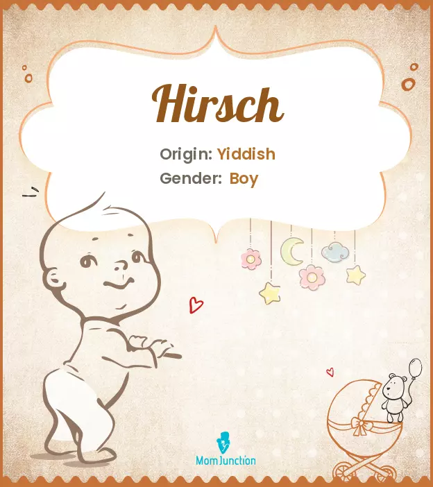 Explore Hirsch: Meaning, Origin & Popularity_image