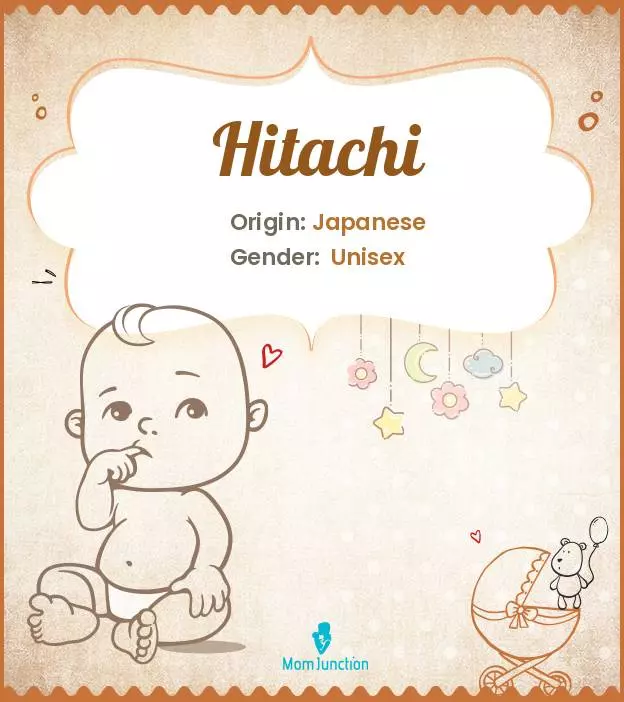 Explore Hitachi: Meaning, Origin & Popularity_image