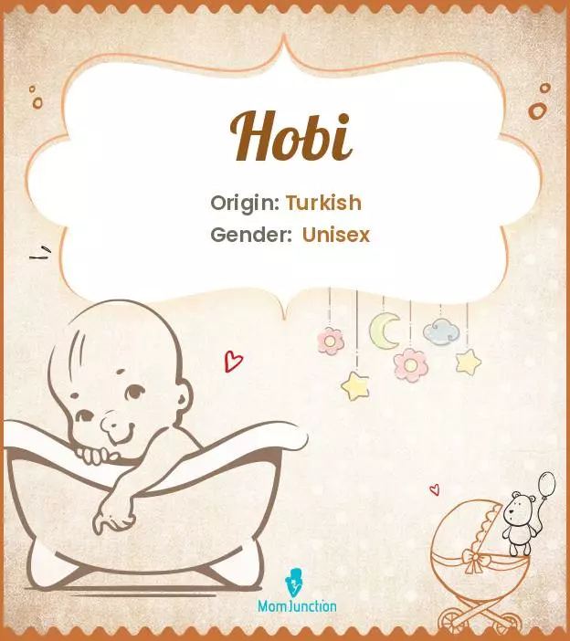 Explore Hobi: Meaning, Origin & Popularity | MomJunction