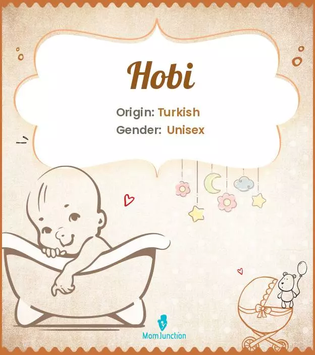 Explore Hobi: Meaning, Origin & Popularity_image