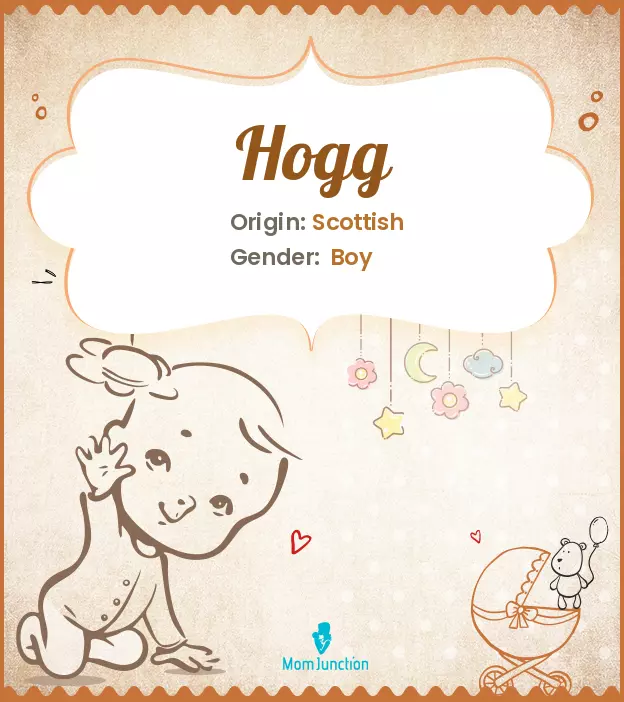 Explore Hogg: Meaning, Origin & Popularity_image