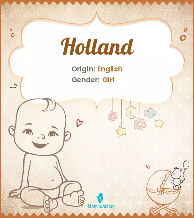 Explore Holland: Meaning, Origin & Popularity_image