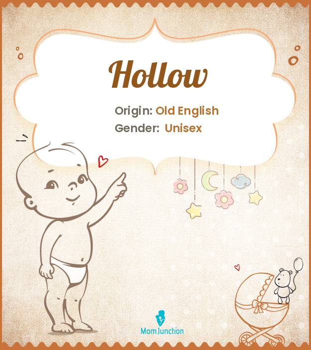 Hollow Name Meaning, Origin, History, And Popularity | MomJunction