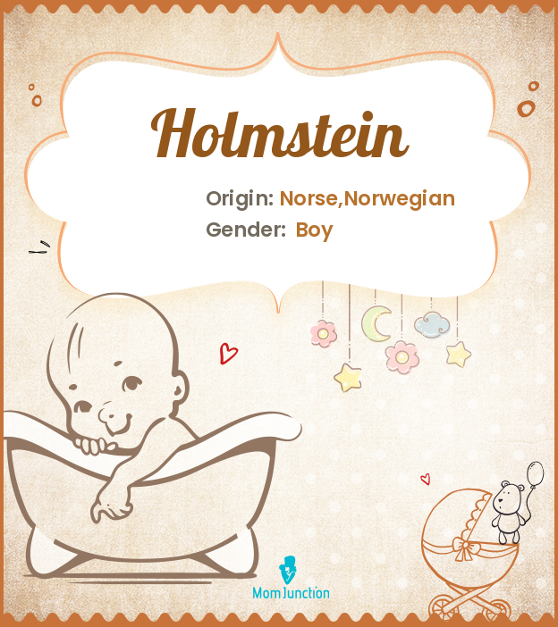 Holmstein