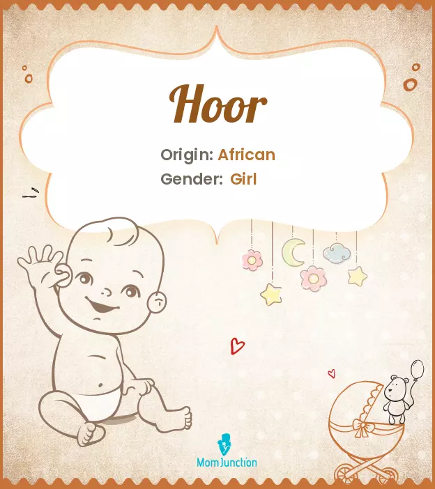 Explore Hoor: Meaning, Origin & Popularity_image