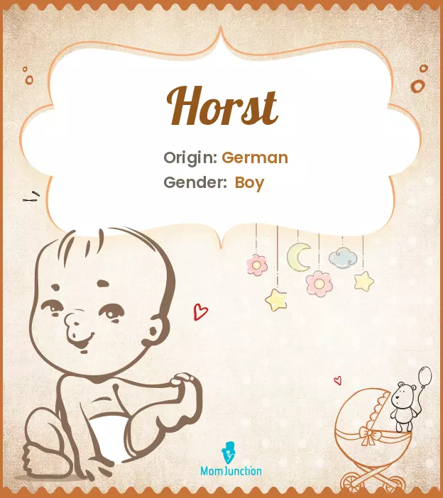 Explore Horst: Meaning, Origin & Popularity_image