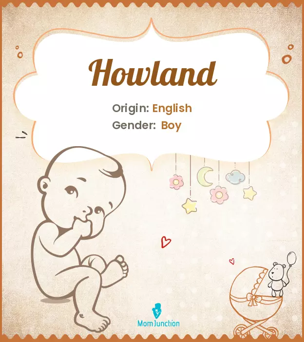 Explore Howland: Meaning, Origin & Popularity_image