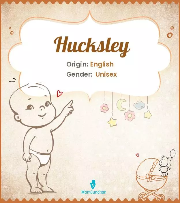 Explore Hucksley: Meaning, Origin & Popularity | MomJunction