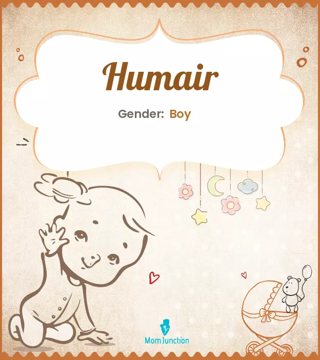 Explore Humair: Meaning, Origin & Popularity_image