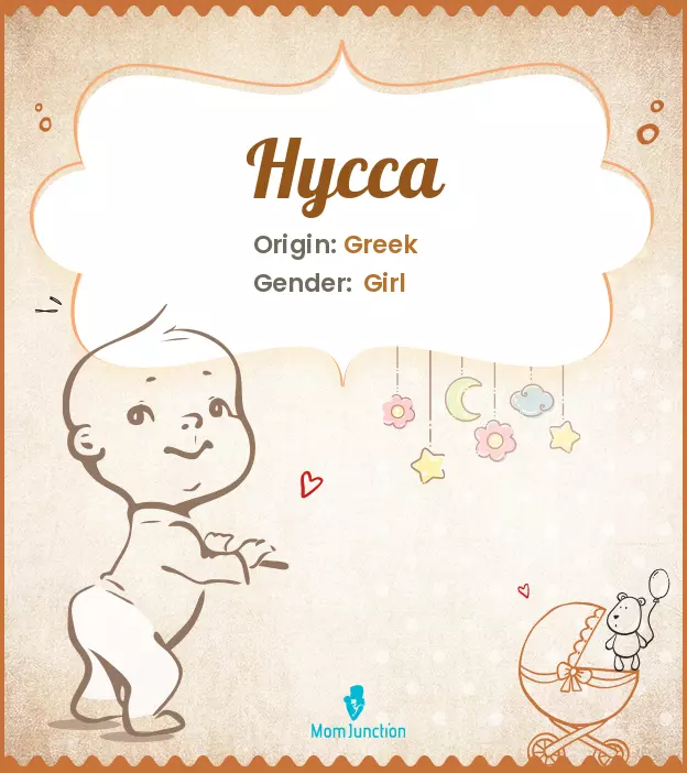 hycca_image