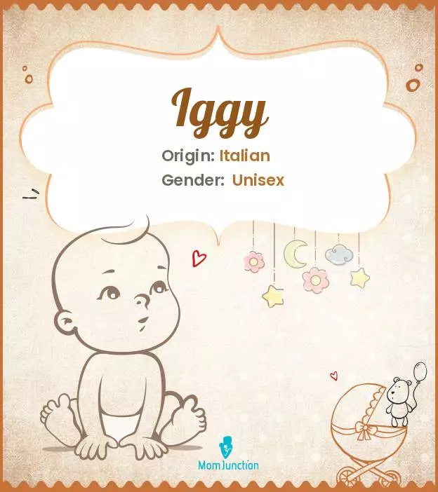 Explore Iggy: Meaning, Origin & Popularity_image