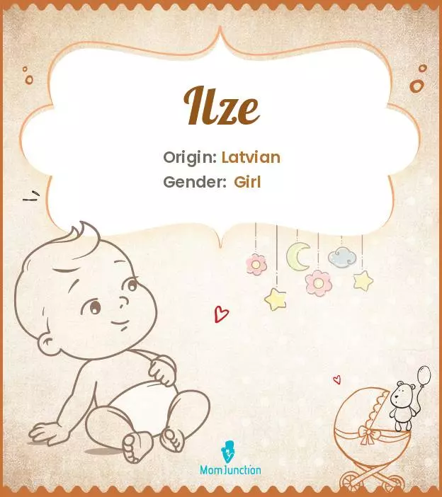 Explore Ilze: Meaning, Origin & Popularity_image