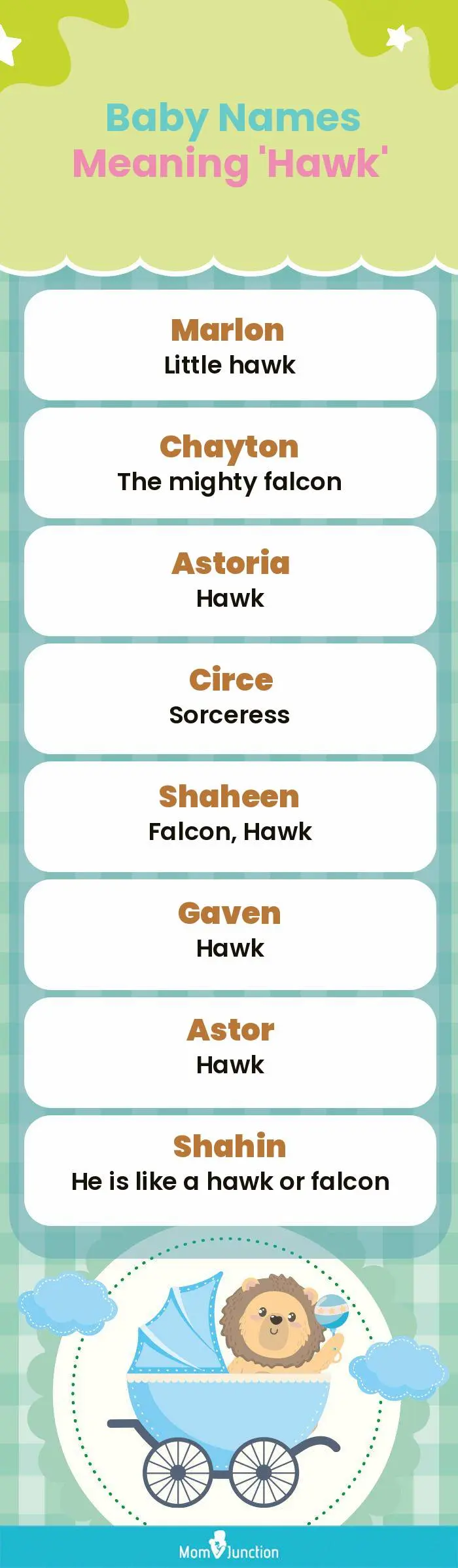  Baby Names Meaning 'Hawk'(infographic)