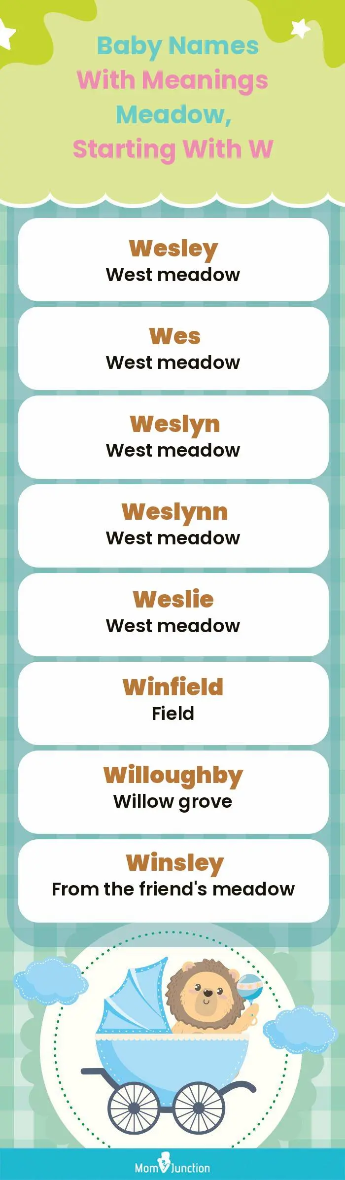  Baby Names with Meanings Meadow, Starting With W(infographic)