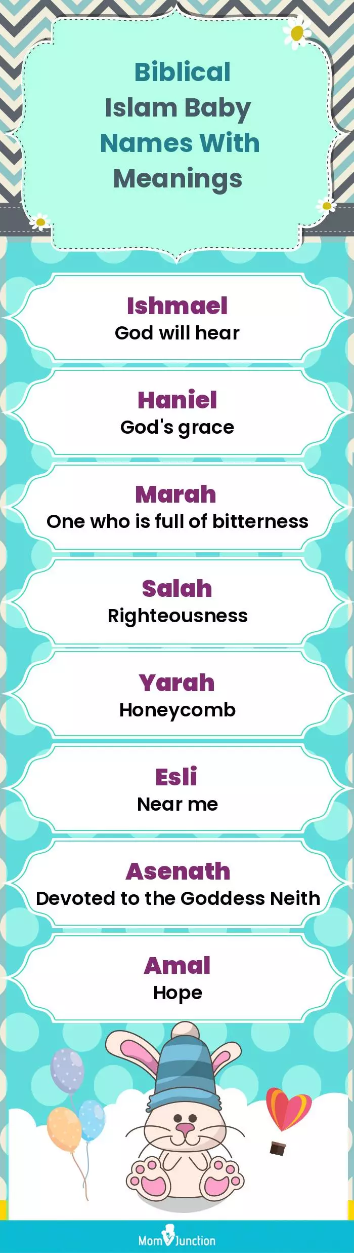  Biblical Islam Baby Names with Meanings(infographic)