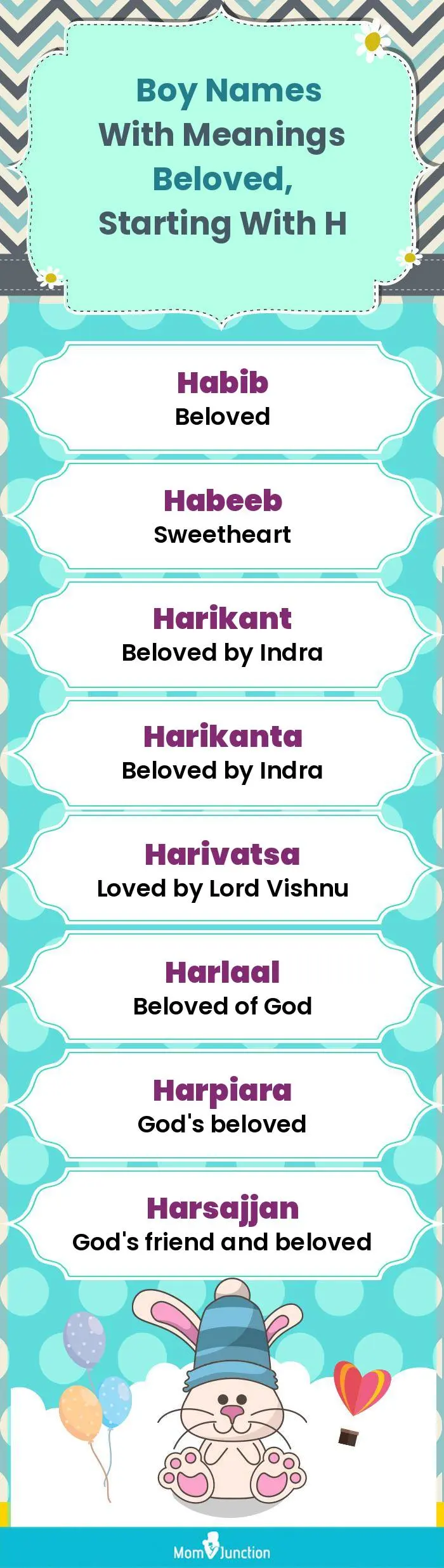  Boy Names with Meanings Beloved, Starting With H(infographic)