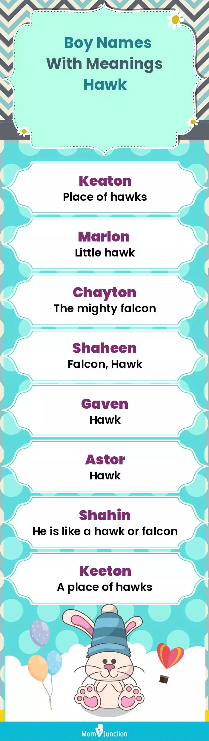  Boy Names with Meanings Hawk(infographic)