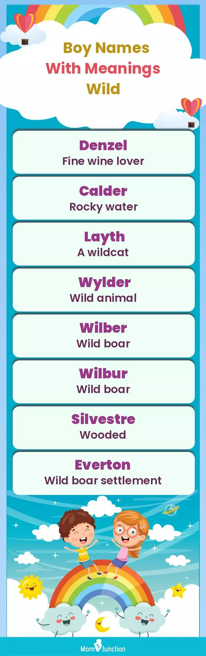  Boy Names with Meanings Wild(infographic)