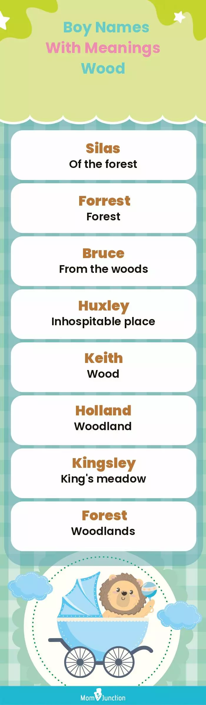  Boy Names with Meanings Wood(infographic)