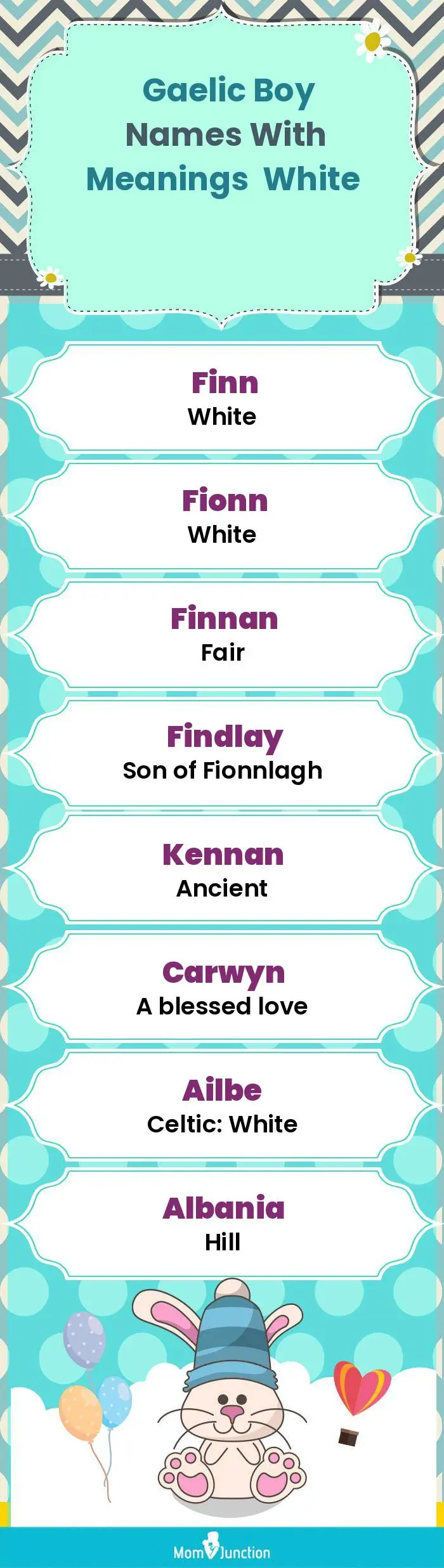  Gaelic Boy Names with Meanings White(infographic)