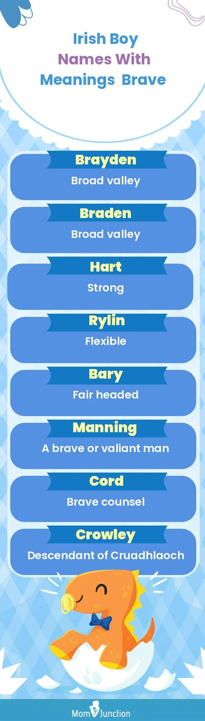  Irish Boy Names with Meanings Brave(infographic)