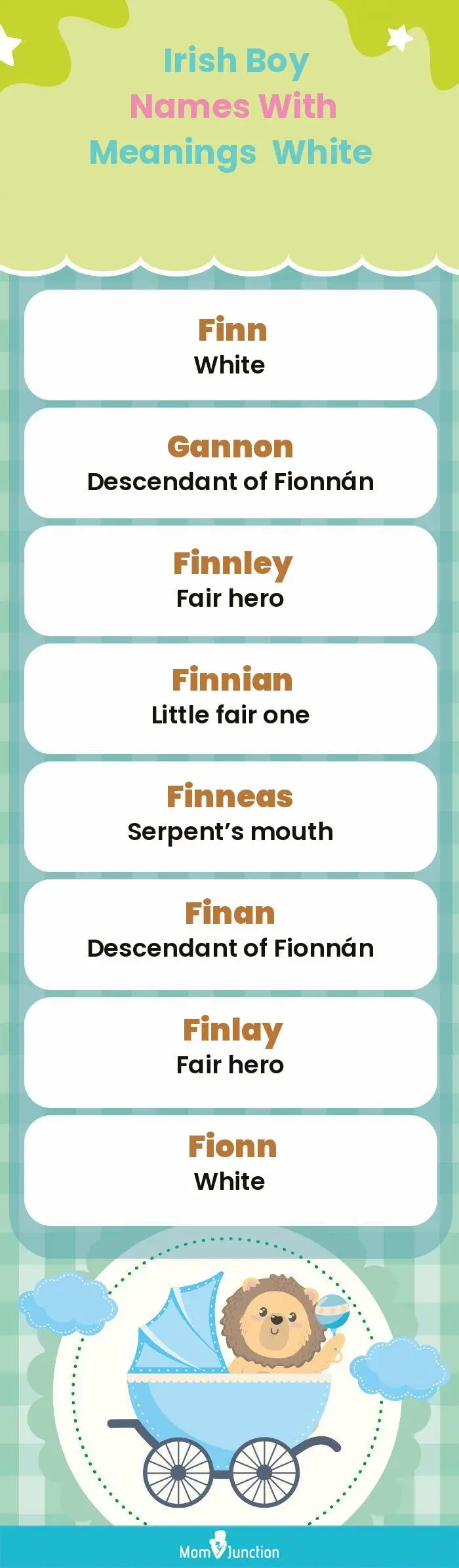  Irish Boy Names with Meanings White(infographic)