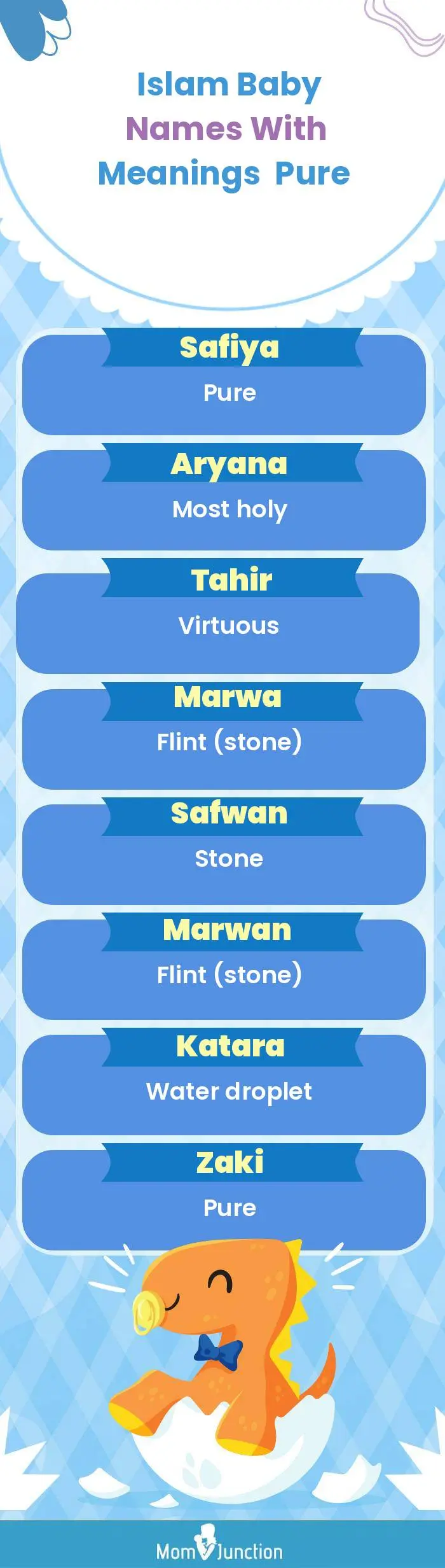  Islam Baby Names with Meanings Pure(infographic)