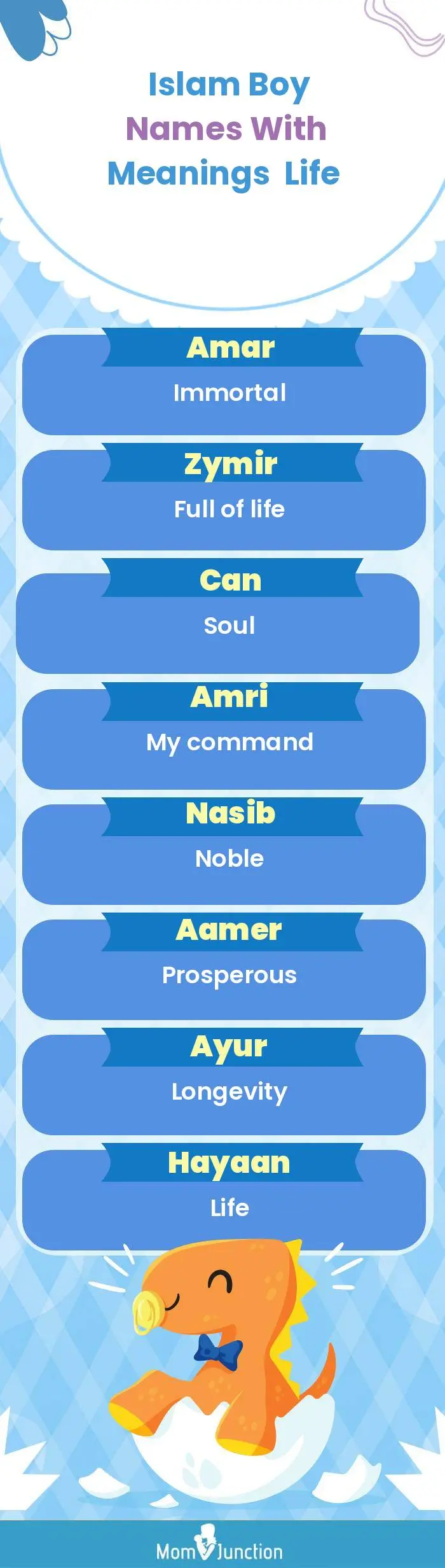  Islam Boy Names with Meanings Life(infographic)