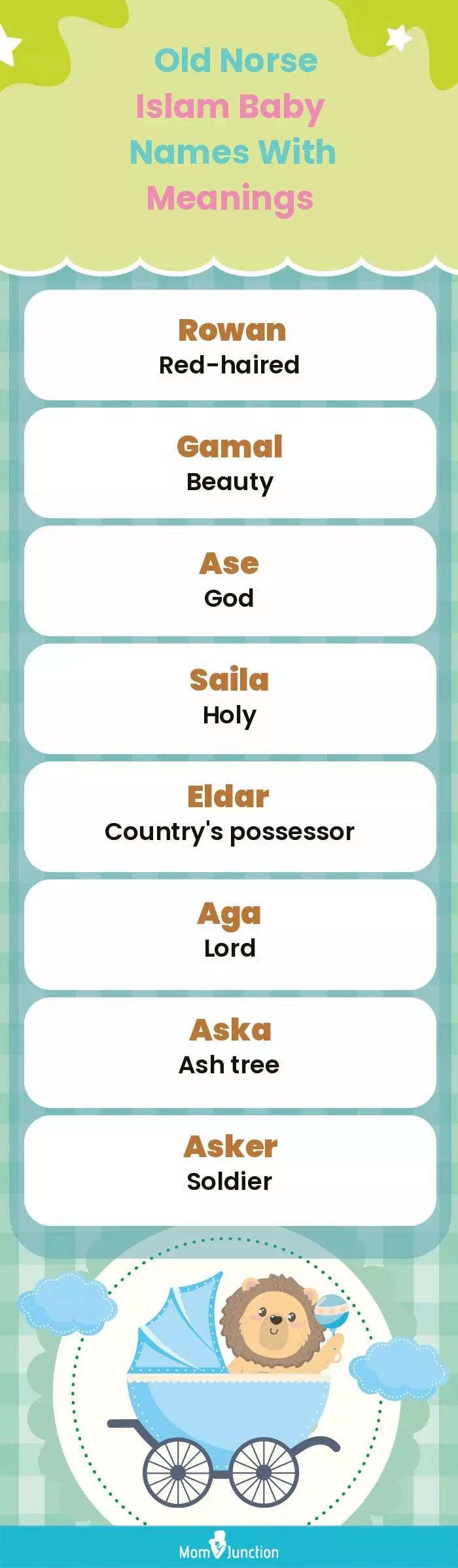  Old Norse Islam Baby Names with Meanings(infographic)