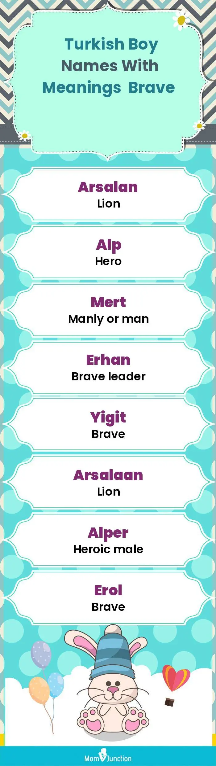  Turkish Boy Names with Meanings Brave(infographic)