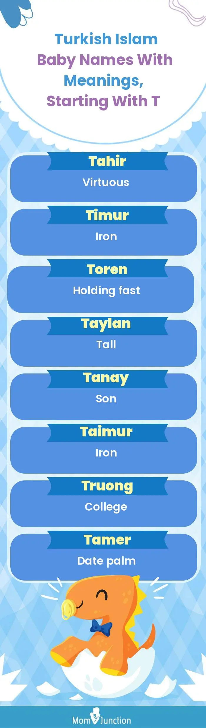 Turkish Islam Baby Names with Meanings, Starting With T(infographic)