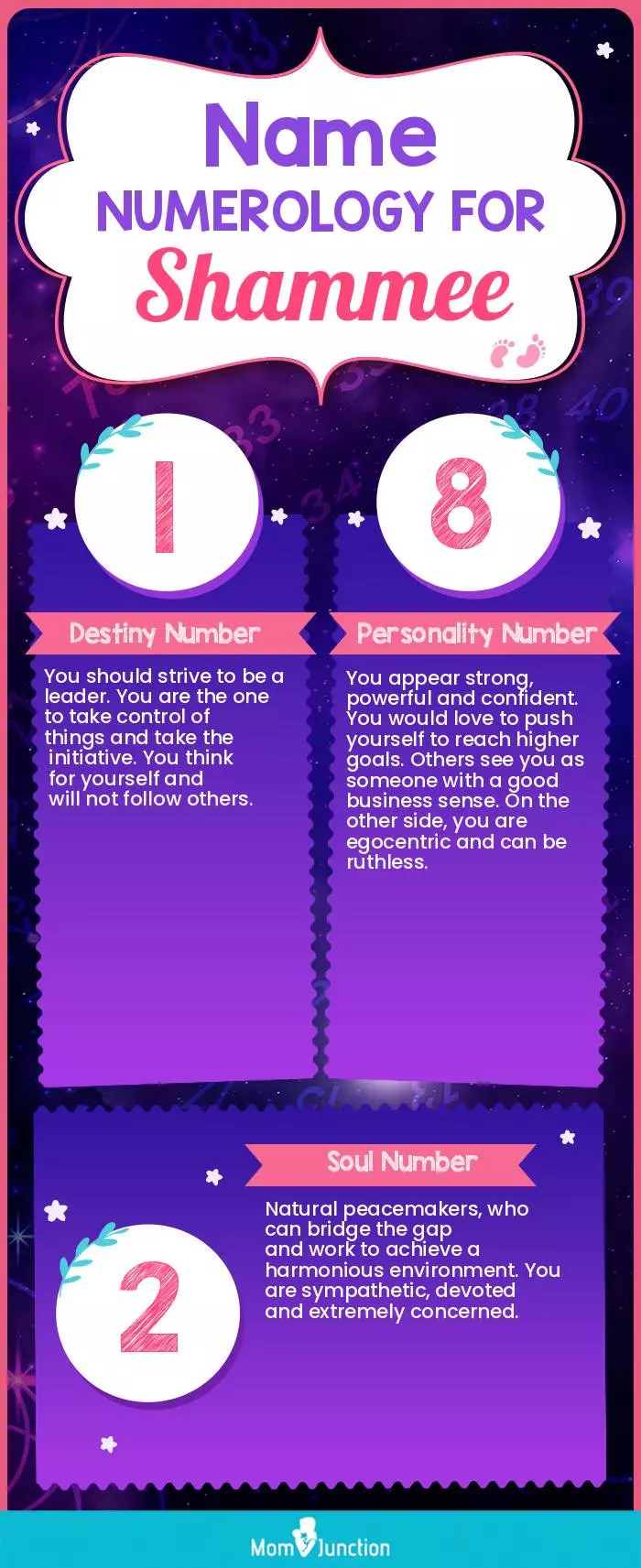 name-numerology-for-shammee-girl