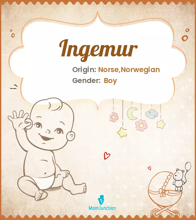 Ingemur_image