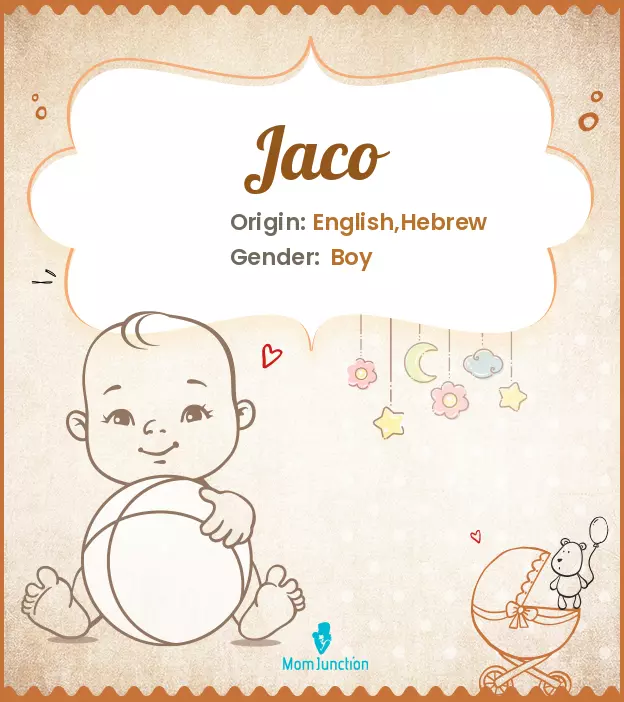 Explore Jaco: Meaning, Origin & Popularity | MomJunction