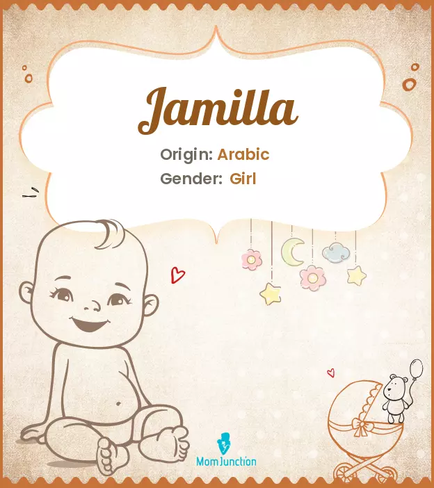 Explore Jamilla: Meaning, Origin & Popularity_image