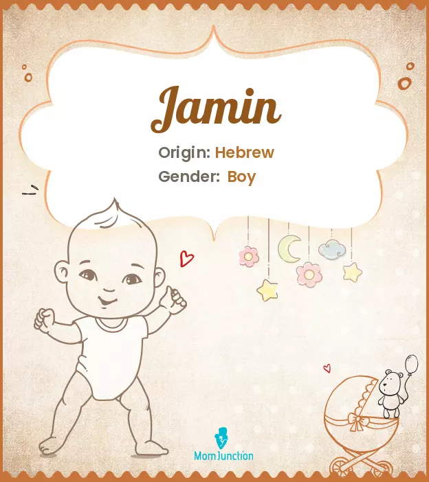 Explore Jamin: Meaning, Origin & Popularity | MomJunction