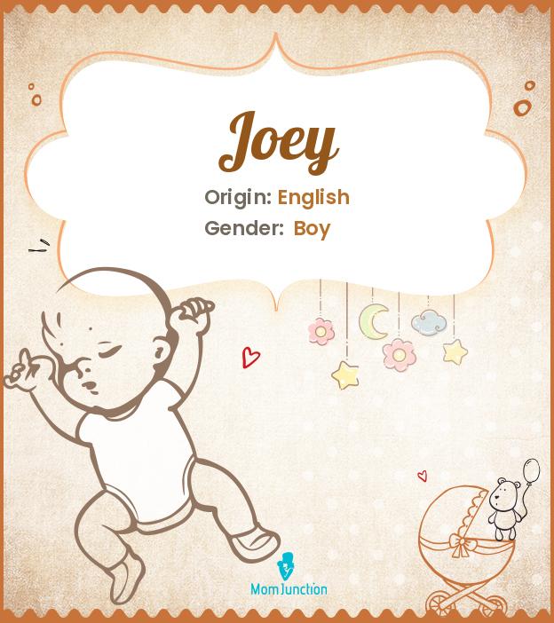 joey: Name Meaning, Origin, History, And Popularity_image