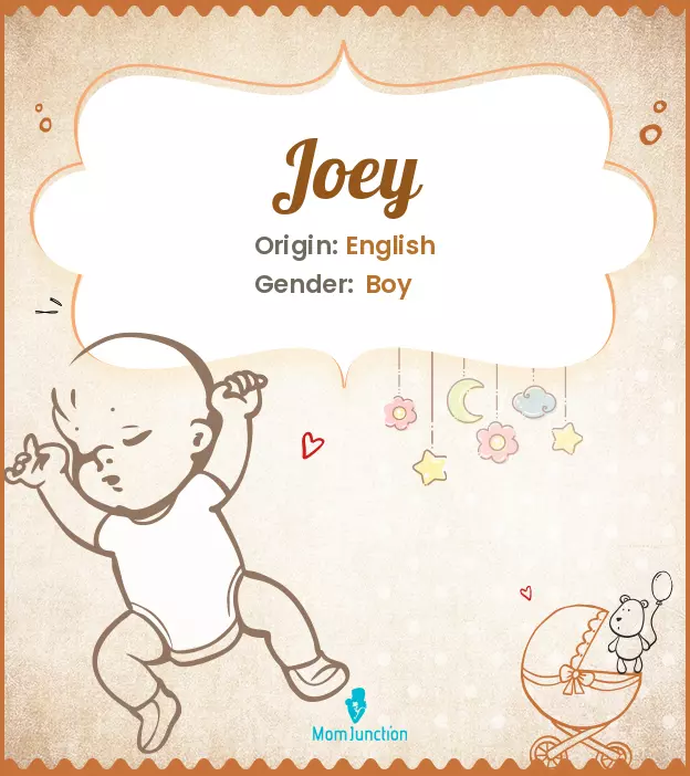 joey: Name Meaning, Origin, History, And Popularity_image