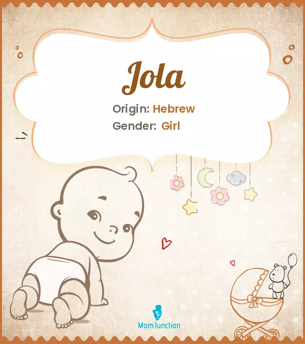 Explore Jola: Meaning, Origin & Popularity | MomJunction