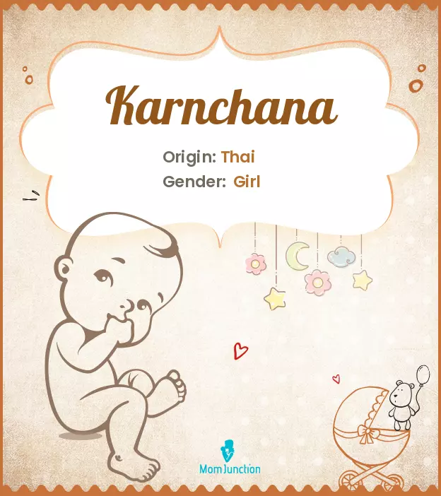 Karnchana_image