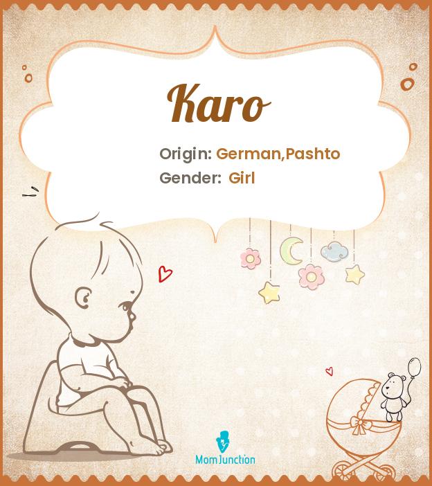 Explore Karo: Meaning, Origin & Popularity_image