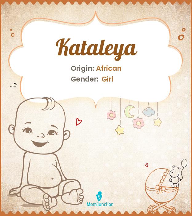 Kataleya Kataleya