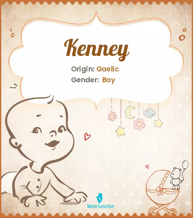 Explore Kenney: Meaning, Origin & Popularity_image