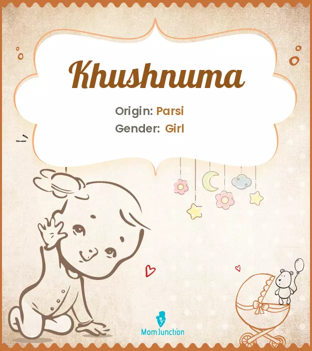 Explore Khushnuma: Meaning, Origin & Popularity | MomJunction